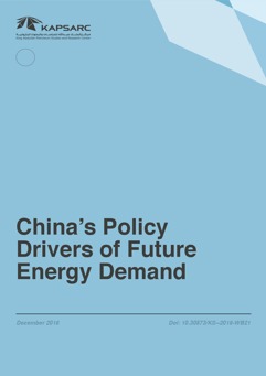 China&#8217;s Policy Drivers of Future Energy Demand (1)