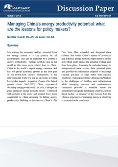 Managing China&#8217;s energy productivity potential: what lessons for policy makers (1)