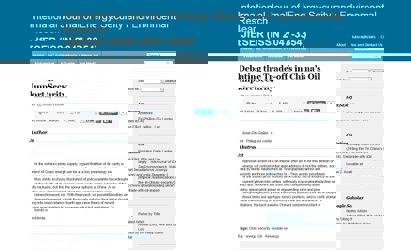 Debating the Trade-offs in China’s Oil Import Security  (2)
