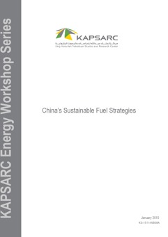 China&#8217;s Sustainable Fuel Strategies (1)