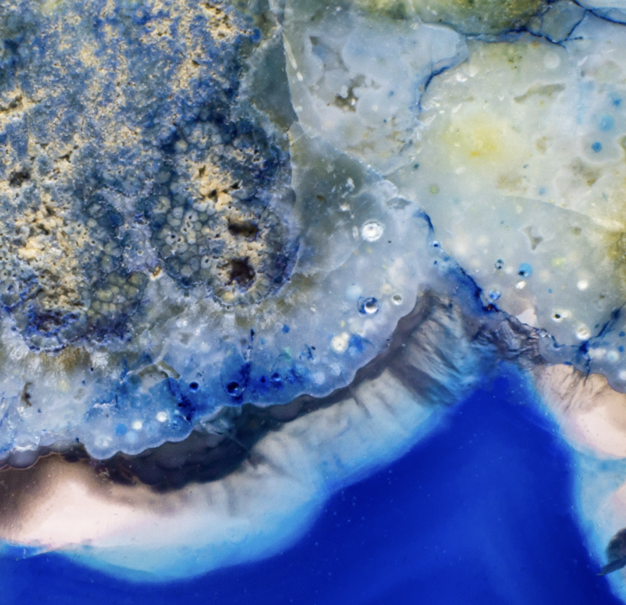 Publication thumbnail