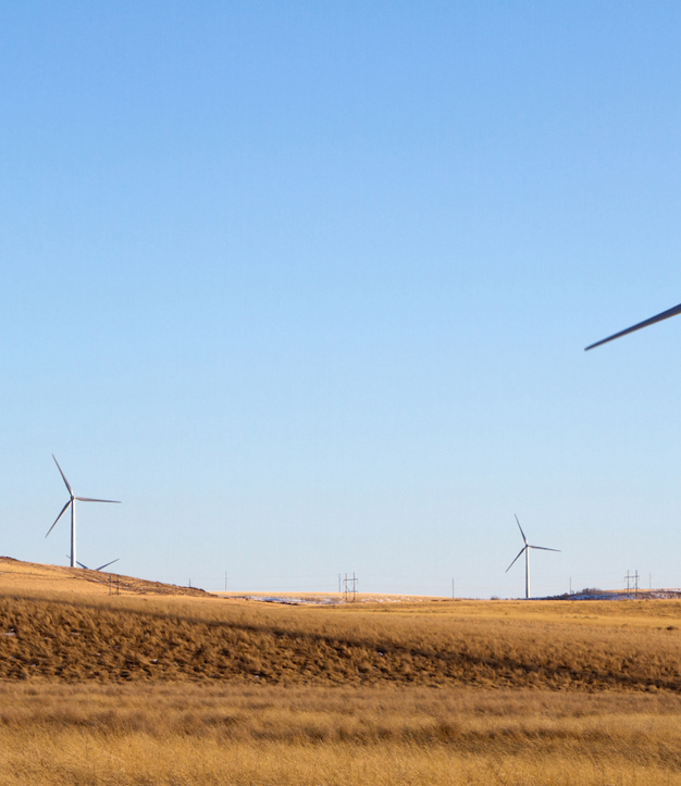 KAPSARC Discusses Managing Energy Transitions in Developing Countries in Partnership with ICRIER and  the T20 (2)