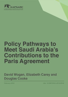 Policy Pathways to Meet Saudi Arabia&#8217;s Contribution to the Paris Agreement (1)
