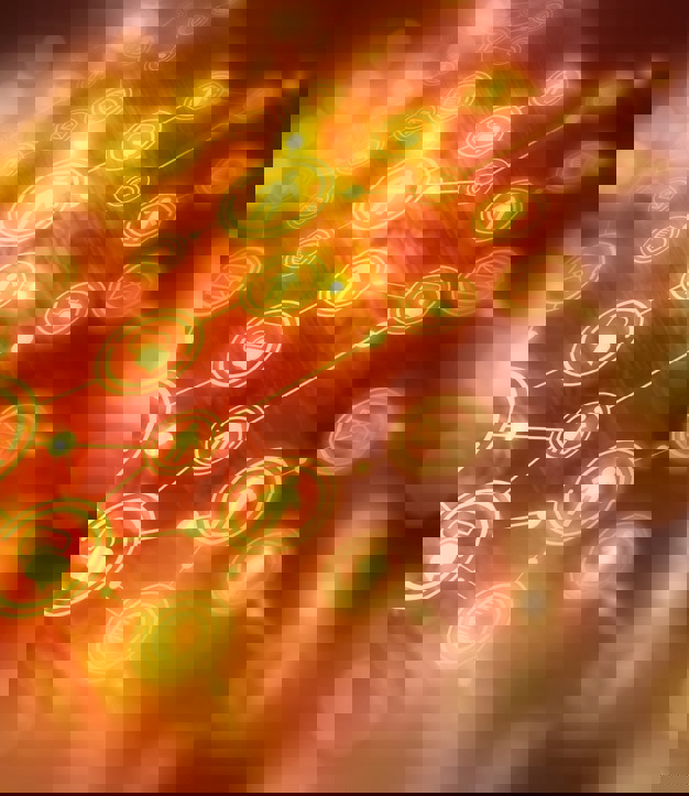 Workshop explores a Human Geography Approach to Energy (2)