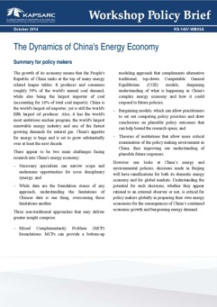 The Dynamics of China&#8217;s Energy Economy (1)