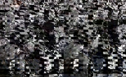 Coal & Renewables workshops to focus on India’s energy challenges (2)