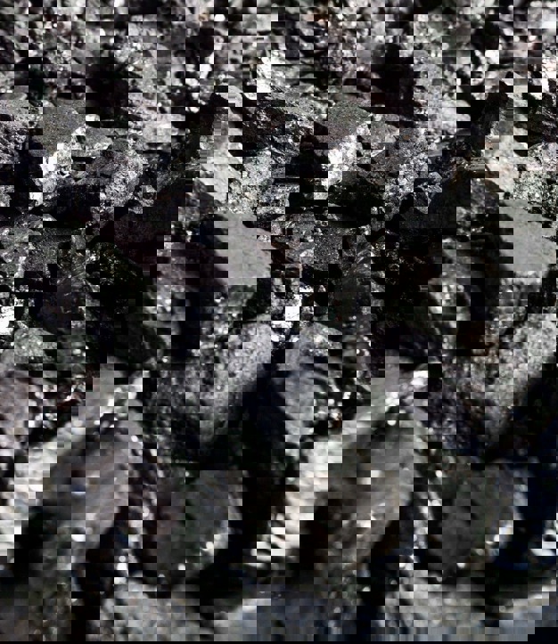 Coal & Renewables workshops to focus on India’s energy challenges (2)