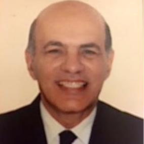 Hafez El-Salmawy